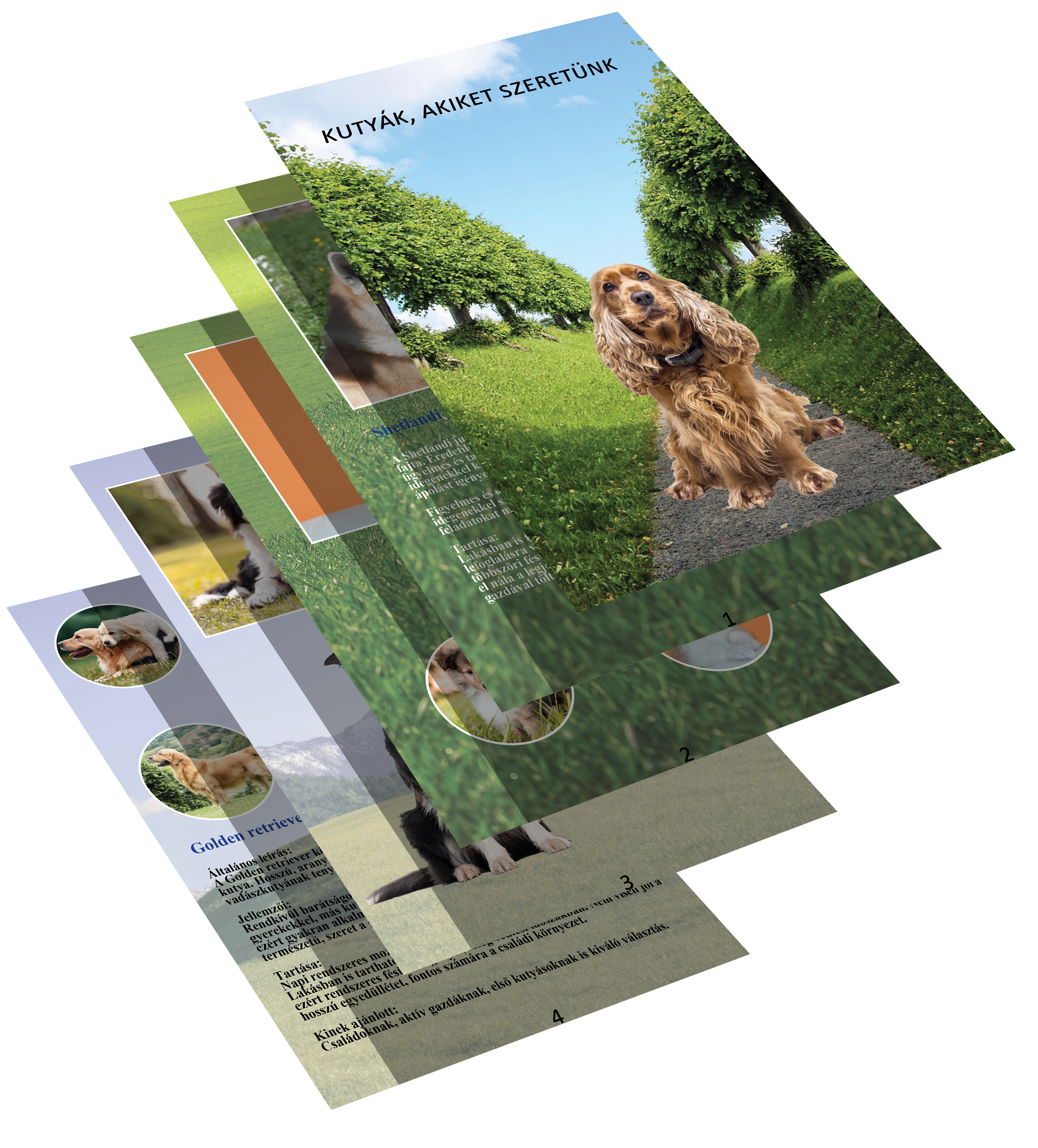 Kutyák, akiket szeretünk – könyv borító/mockup